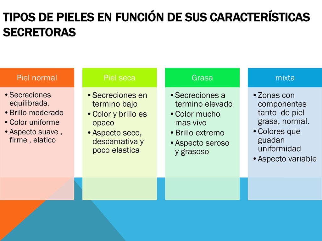 Tipos de piel y sus caracteristicas